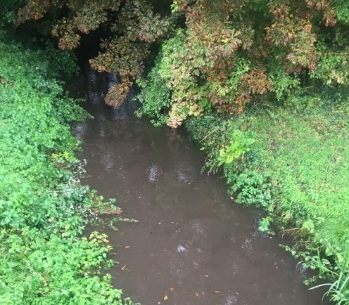 River filled with sewage